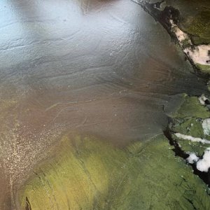 גרניט אבוקדוס Avokados